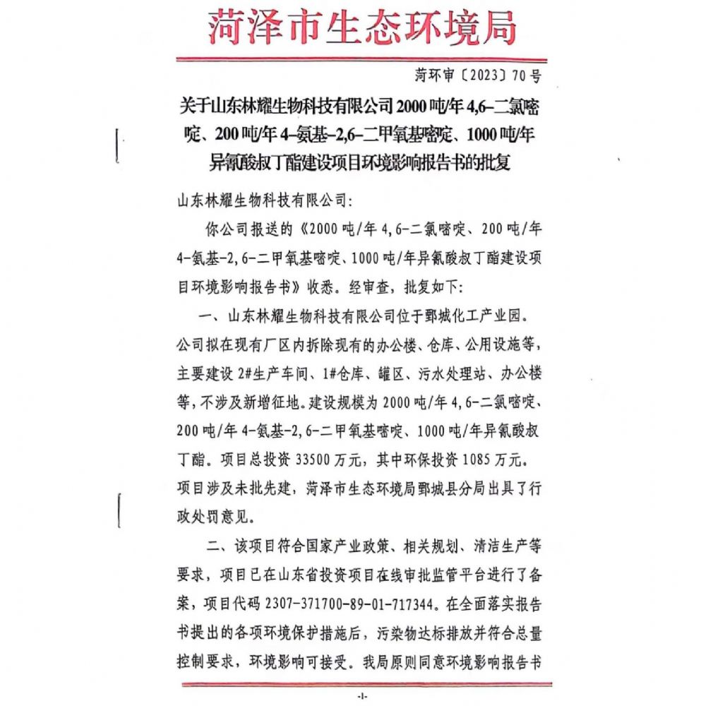 企业环境信息纰漏临时报告